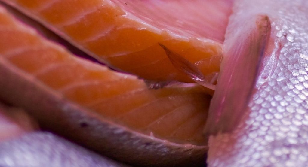 鮭 シャケ ビタミンD 食事管理 食事指導